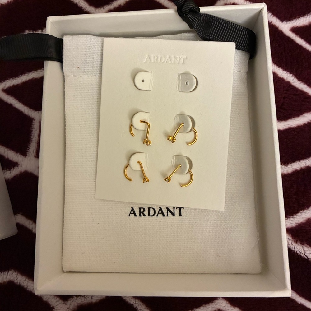 ARDANT 2 Pairs Huggie Hoop Earrings Set - Picture 3 of 8